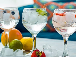Receitas Gin Tonico
