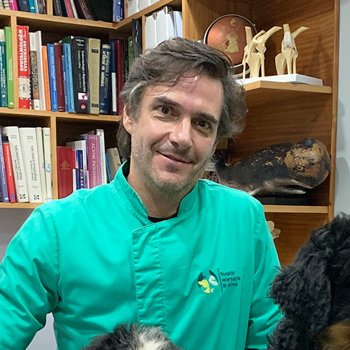 Veterinário Carlos Sousa