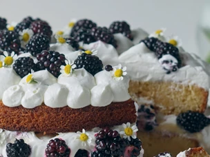 Sponge cake